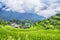 Yunhe china cloud rice terrace landscape