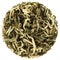 Yunnan Jade Snail Green Tea round shape isolated