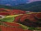 Yunnan red soil dry