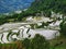 Yunnan rice-paddy terracing