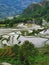 Yunnan rice-paddy terracing
