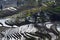 Yunnan terraced rice fields, China