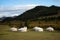 Yurt camp surrounded by trees on the ridge of the mountain. Small ger huts on the crest of the hill on a sunny day