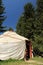 Yurt among firs