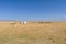 Yurt in Kyrgyzstan