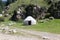 Yurt in Kyrgyzstan in nature