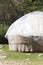 Yurt in Kyrgyzstan in nature