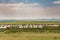 Yurt tents in Inner Mongolia Province of China