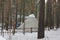 Yurt in the winter park 30432