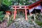 Yutoku Inari Shrine is a Shinto shrine in kyushuu Japan