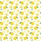 Yuzu japanese citron fruit seamless pattern vector illustration isolated on white background.