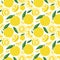 Yuzu japanese citron fruit seamless pattern vector illustration isolated on white background.