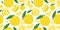 Yuzu japanese citron fruit seamless pattern vector illustration isolated on white background.