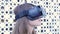 Yyoung attractive woman wearing headset VR virtual reality vision goggles watching video. Young woman with glasses VR