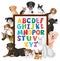 A-Z Alphabet board wih many different types of dogs