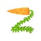 Z veggie vegetable English alphabet letter made from carrot vector Illustration on a white background