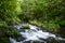 Zabriskies Waterfall in Annandale-On-Hudson, New York