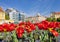 Zagreb colorful flora and architecture