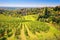 Zagreb green zone. Church and vineyard on green hill above croatian capital Zagreb