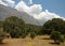 Zagros Oak Forest in Dena Mountain