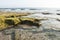 Zahara beach of the tuna with greenish rocks by seaweed with the sea and blue sky in the background