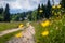 Zajamniki on a plateau Pokljuka in Slovenian Alps