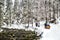 Zakopane, Dolina Koscieliska, Poland - February 7, 2017: People walking in the National park with beautiful winter nature.