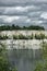 Zakrzowek flooded mine quarry and cloudy sky