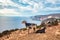 Zakynthos in Greece, goats on Keri cliffs