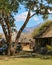 Zambian safari lodge in zambezi valley
