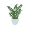 Zamioculcas. Pot plant. Houseplant isolated on white background. Vector illustration in hand drawn flat
