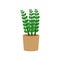 Zamioculcas potted flat icon, indoor plant