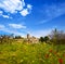 Zamora spring field skyline Spain