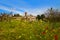 Zamora spring field skyline Spain