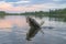 Zander fishing. Walleye fish on hook in water