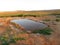 Zandhoendrinkplaats, Belchite, Spanje; Sandgrouse drinking pool, Belchite, Spain