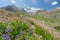 Zanskar landscape in summer