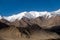 Zanskar Range, Ladakh, India