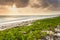 Zanzibar beach wilderness at sunset