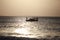 Zanzibar island traditional boat in the ocean at sunset