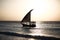 Zanzibar island traditional boat in the ocean at sunset