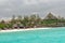 Zanzibar palms and meadow - Tropical island - Indian ocean - Africa