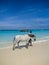 Zanzibar, Tanzania - December 4, 2019: Nungwi beach in Zanzibar, blue sea and blue ocean, on a beautiful tropical beach. Young