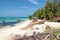 Zanzibar tropical beach and sea - Prison island - Indian ocean - Africa