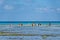 ZANZIBWomen with colorful clothes fishing in shallow water. They are hunting small fish, copy