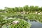 Zaozhuang Tropical Botanical Garden, Shandong Province, China