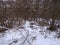 Zaporizhzhia. Ukraine. Landscapes of snow-covered steppe forests in the south of Ukraine.