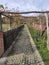 Zasavica Nature Reserve Serbia paved trail with sticks for grapes in autumn