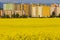 Zatec town and rapeseed field in northern Bohemia, Czech Republic