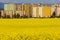 Zatec town and rapeseed field in northern Bohemia, Czech Republic